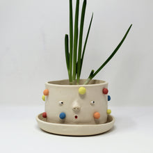 Load image into Gallery viewer, MULTICOLOR 5.5 INCH PLANTER WITH PLATE #1