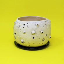 Load image into Gallery viewer, 5.5 INCH MOON PLANTER #1