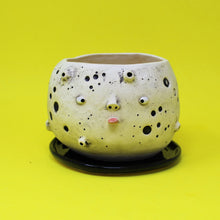 Load image into Gallery viewer, 5.5 INCH MOON PLANTER #2