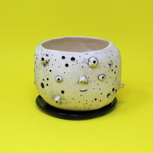 Load image into Gallery viewer, 5.5 INCH MOON PLANTER #3