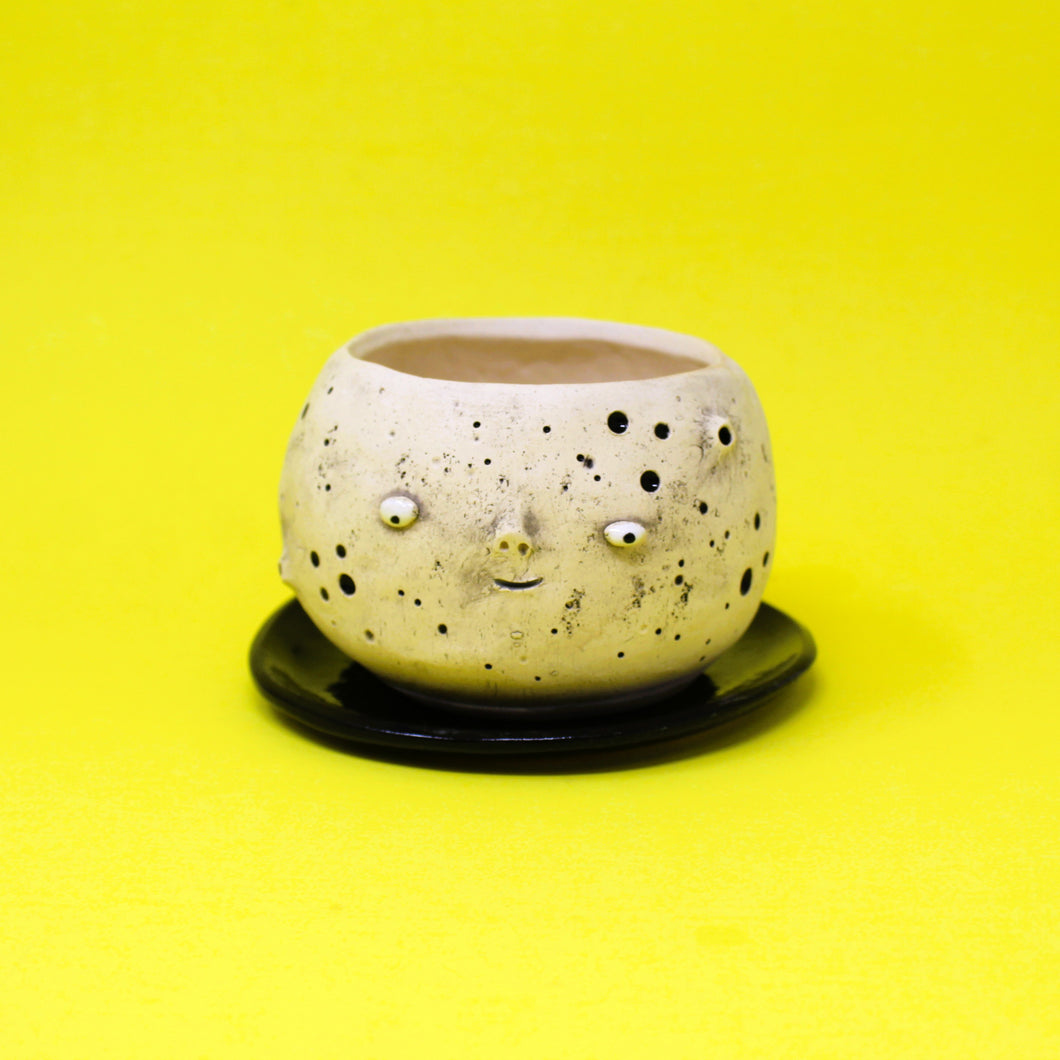 4.25 INCH MOON PLANTER #2
