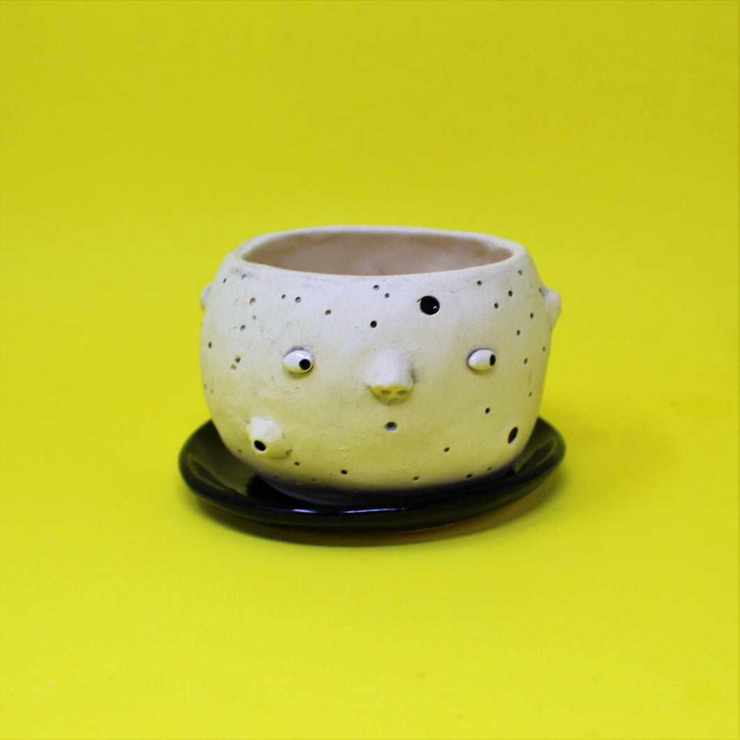4.25 INCH MOON PLANTER #1