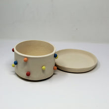 Load image into Gallery viewer, MULTICOLOR 5.5 INCH PLANTER WITH PLATE #1
