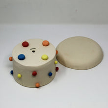 Load image into Gallery viewer, MULTICOLOR 5.5 INCH PLANTER WITH PLATE #1
