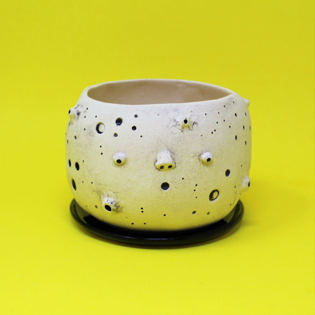 5.5 INCH MOON PLANTER #1