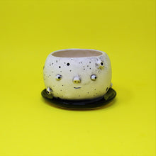 Load image into Gallery viewer, 4.25 INCH MOON PLANTER #1
