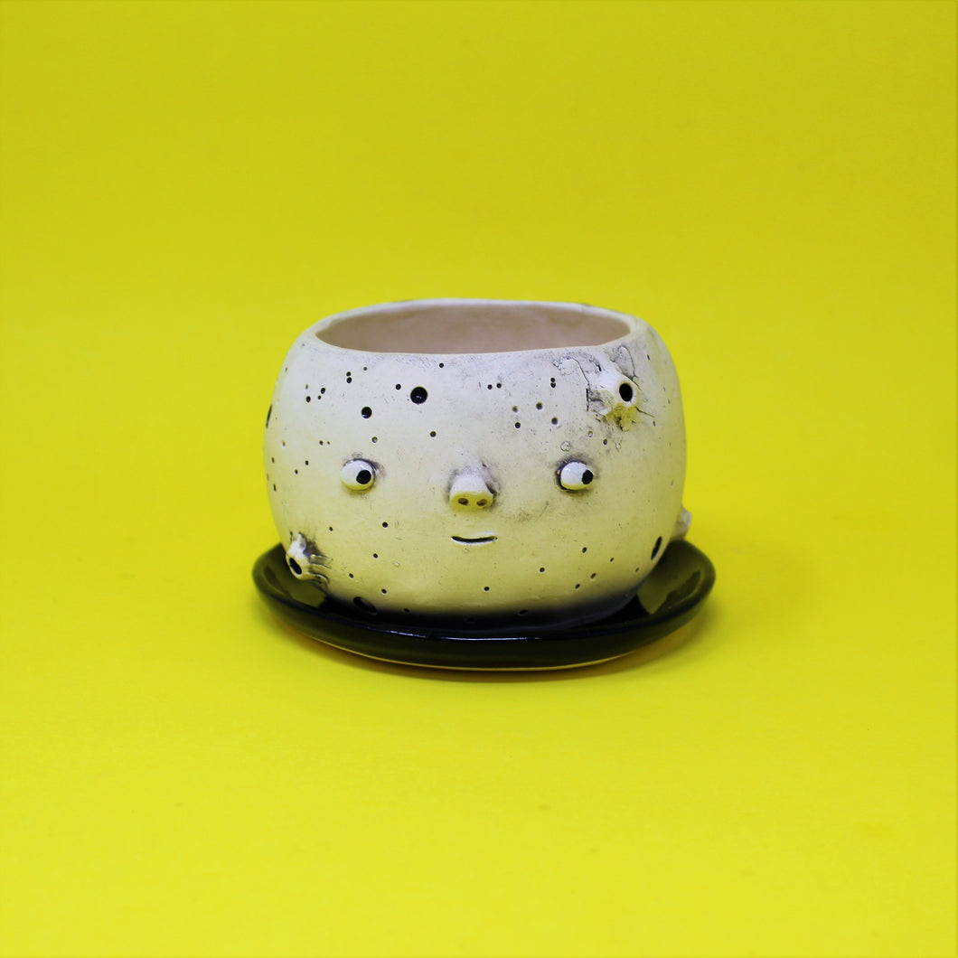 4.25 INCH MOON PLANTER #1