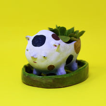 Load image into Gallery viewer, PEEING ANIMAL PLANTER #1

