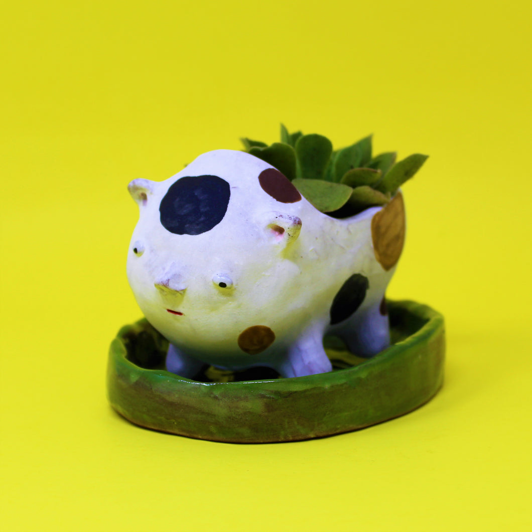 PEEING ANIMAL PLANTER #1