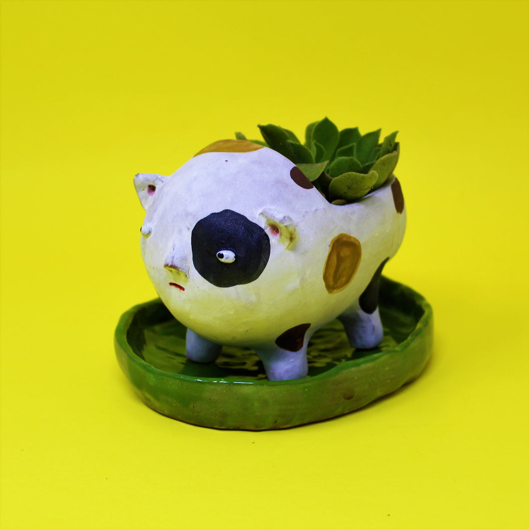 PEEING ANIMAL PLANTER #2