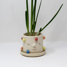 Load image into Gallery viewer, MULTICOLOR 4 INCH PLANTER WITH PLATE #1
