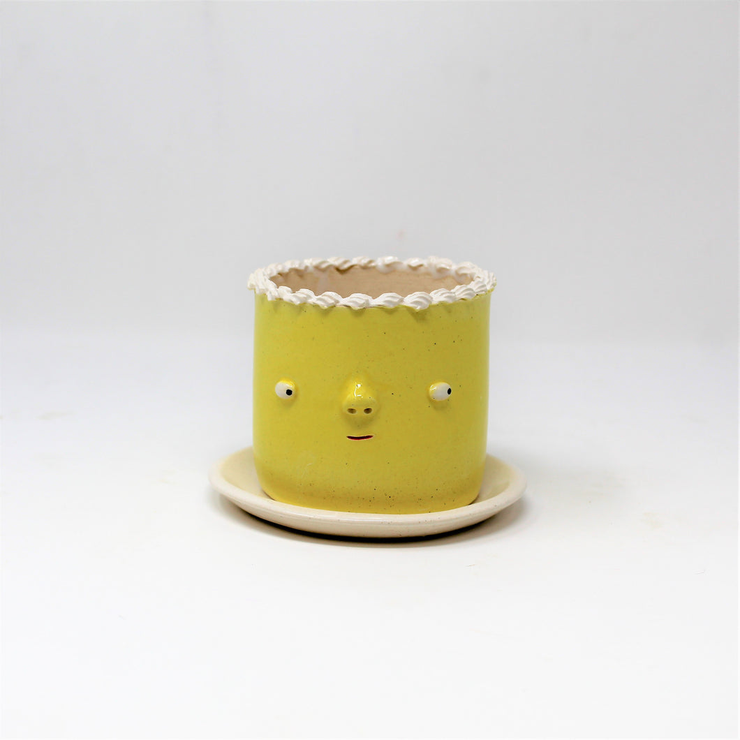 3.25 INCH CAKE PLANTER WITH PLATE #2